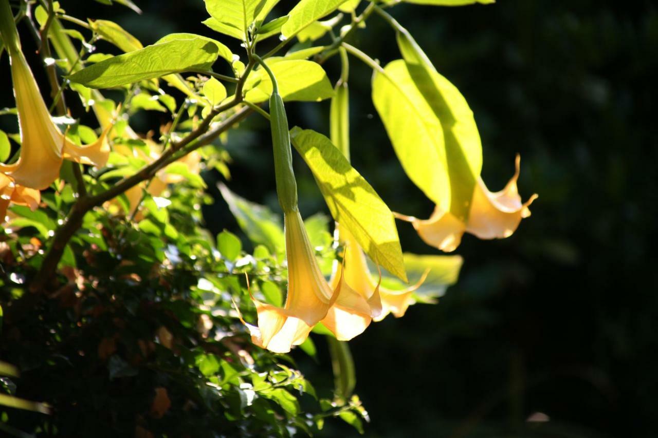 ביסקארוס Chambres "Au Jardin" מראה חיצוני תמונה